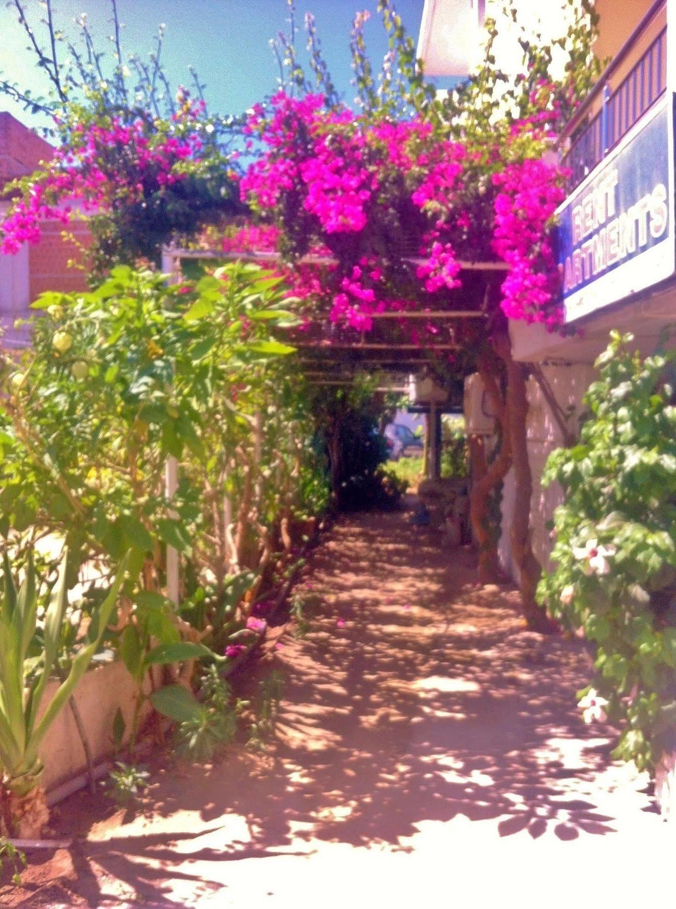 Apollonia Apartments Agia Pelagia  Exterior foto